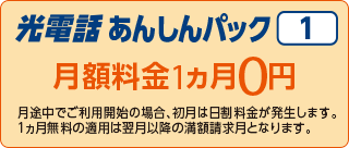 光電話あんしんパック1