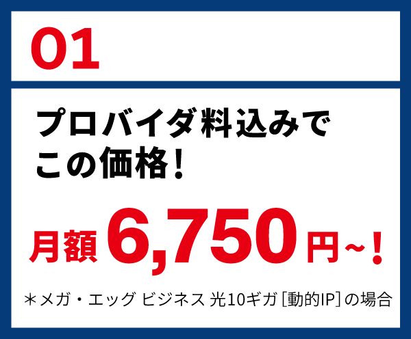 01: プロバイダ料込みでこの価格！ 月額6,750円～！ ＊メガ・エッグ ビジネス 光10ギガ［動的IP］の場合