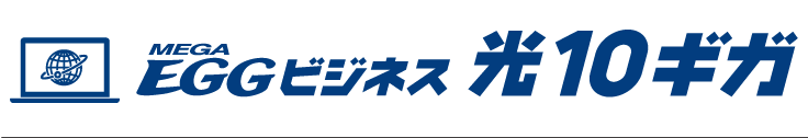 MEGA EGG ビジネス 光10ギガ