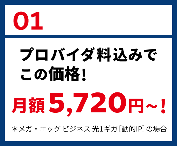 01: プロバイダ料込みでこの価格！ 月額5,720円～！ ＊メガ・エッグ ビジネス 光1ギガ［動的IP］の場合